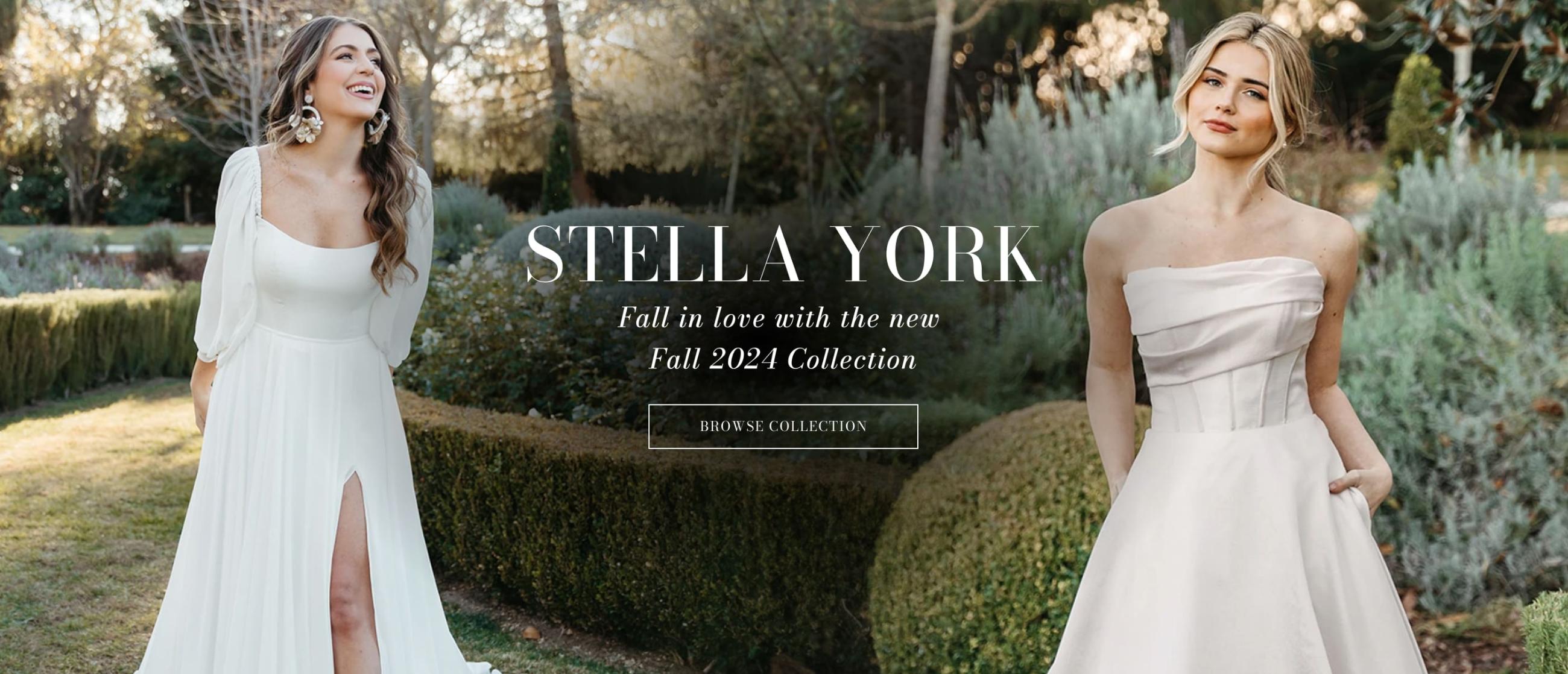 stella york fall 2024 banner