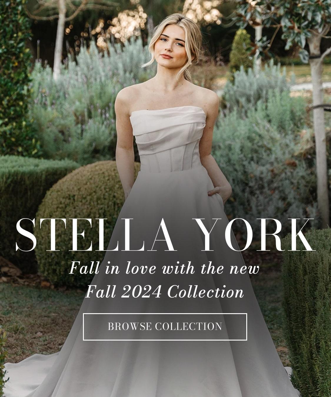 stella york fall 2024 banner