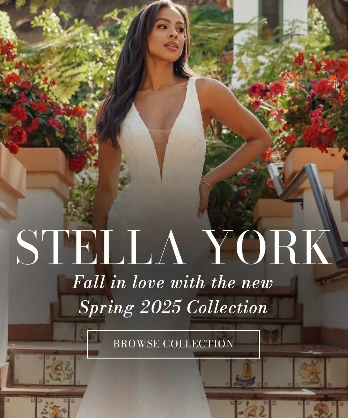 Stella York Banner for Mobile