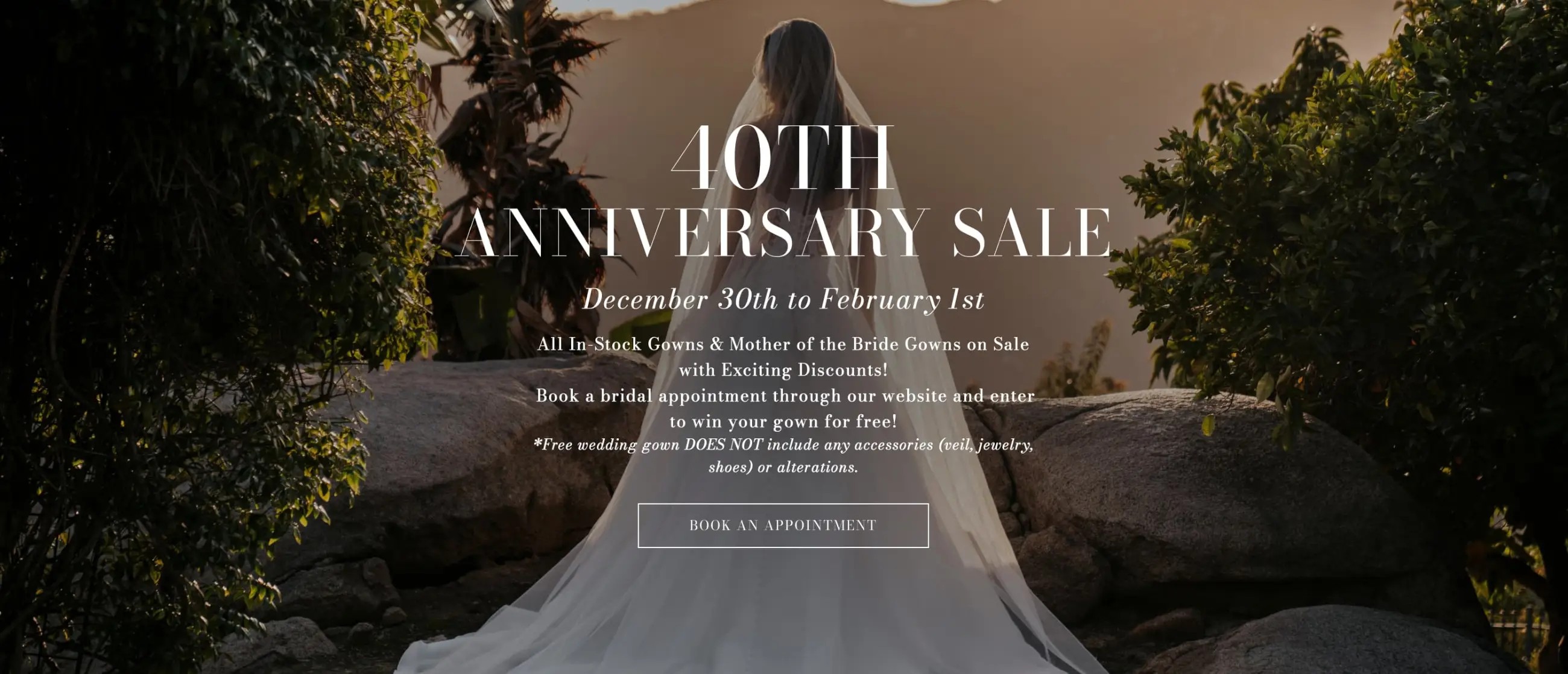 Anniversary Sale Banner for Desktop